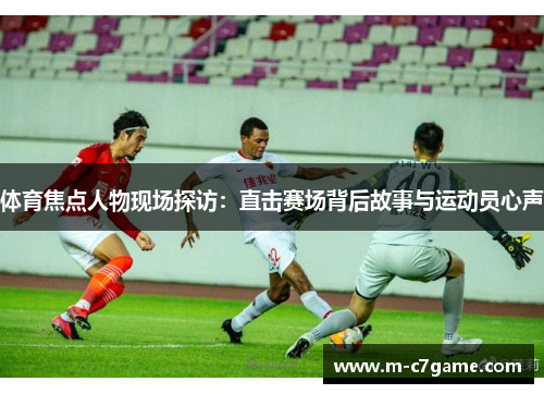 体育焦点人物现场探访：直击赛场背后故事与运动员心声