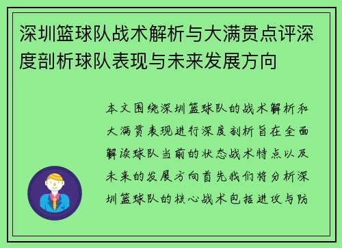 深圳篮球队战术解析与大满贯点评深度剖析球队表现与未来发展方向